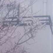 ヒメ日記 2026/03/05 18:00 投稿 若菜-わかな 熟女10000円デリヘル 川崎