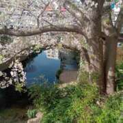 ヒメ日記 2025/04/05 22:02 投稿 若菜-わかな 熟女10000円デリヘル横浜