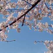 ヒメ日記 2025/04/05 23:29 投稿 若菜-わかな 熟女10000円デリヘル横浜