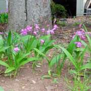 ヒメ日記 2025/05/03 09:03 投稿 若菜-わかな 熟女10000円デリヘル横浜