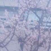 ヒメ日記 2026/03/16 11:52 投稿 若菜-わかな 熟女10000円デリヘル横浜