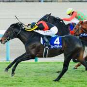 ヒメ日記 2025/12/28 18:46 投稿 春菜 るい エテルナ京都