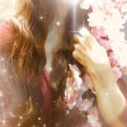 ヒメ日記 2026/04/02 02:00 投稿 春菜 るい エテルナ京都