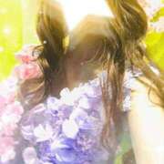 ヒメ日記 2026/04/18 02:15 投稿 春菜 るい エテルナ京都