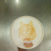 ヒメ日記 2025/03/14 16:48 投稿 つぼみ いちべえ