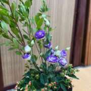 ヒメ日記 2025/07/25 21:53 投稿 かほ ダック京都