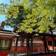 ヒメ日記 2025/08/06 23:35 投稿 かほ ダック京都