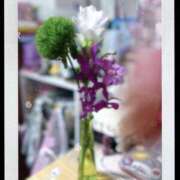 ヒメ日記 2025/08/22 05:11 投稿 かほ ダック京都