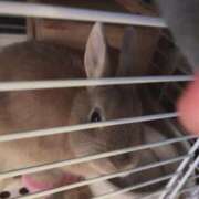 ヒメ日記 2026/01/08 07:07 投稿 かほ ダック京都