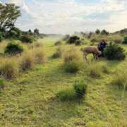 ヒメ日記 2026/01/12 18:20 投稿 かほ ダック京都