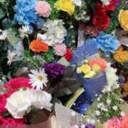 ヒメ日記 2026/01/14 09:31 投稿 かほ ダック京都