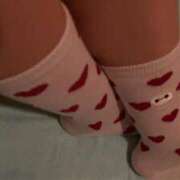 ヒメ日記 2026/02/12 21:23 投稿 かほ ダック京都