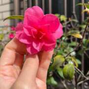 ヒメ日記 2026/03/06 15:07 投稿 かほ ダック京都