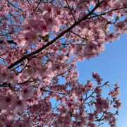 ヒメ日記 2026/03/26 19:16 投稿 かほ ダック京都