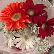 かほ ありがとう＾＾ ダック京都