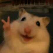 ヒメ日記 2026/04/22 22:32 投稿 かほ ダック京都