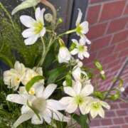 ヒメ日記 2026/04/29 19:01 投稿 かほ ダック京都