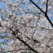 ヒメ日記 2025/04/07 21:12 投稿 なこ スピードエコ難波店