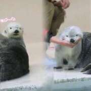 ヒメ日記 2025/09/11 15:42 投稿 なこ スピードエコ難波店