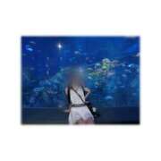 ヒメ日記 2025/09/12 12:42 投稿 なこ スピードエコ難波店