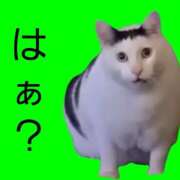 ヒメ日記 2024/05/27 18:49 投稿 いろは 千葉松戸ちゃんこ