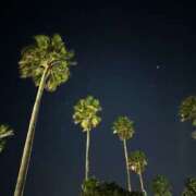 ヒメ日記 2025/01/01 14:29 投稿 るり ちゃんこ大阪伊丹空港豊中店