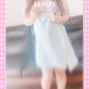 ヒメ日記 2024/12/12 15:42 投稿 めい LOVE KISS（ラブキッス）