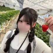 ヒメ日記 2025/04/03 12:30 投稿 うた※電マで潮吹き100％♪ きらめけ！にゃんにゃん学園in大宮