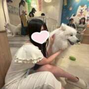 ヒメ日記 2025/07/19 12:30 投稿 うた※電マで潮吹き100％♪ きらめけ！にゃんにゃん学園in大宮