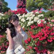 ヒメ日記 2026/05/14 12:05 投稿 うた※電マで潮吹き100％♪ きらめけ！にゃんにゃん学園in大宮