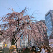 ヒメ日記 2026/03/29 11:02 投稿 みなみ ANGEL KISS 池袋