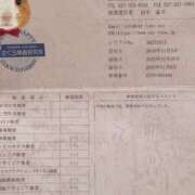 ヒメ日記 2025/11/10 20:48 投稿 戸田 なずな club eyes