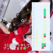 ヒメ日記 2024/12/19 19:50 投稿 白咲らんか ウルトラグレイス24