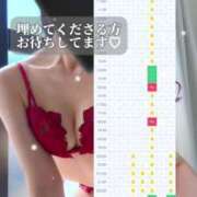 ヒメ日記 2025/02/09 01:36 投稿 白咲らんか ウルトラグレイス24