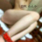 ヒメ日記 2025/02/17 00:58 投稿 白咲らんか ウルトラグレイス24