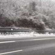 ヒメ日記 2025/03/08 17:00 投稿 白咲らんか ウルトラグレイス24