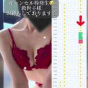 ヒメ日記 2025/03/19 12:30 投稿 白咲らんか ウルトラグレイス24