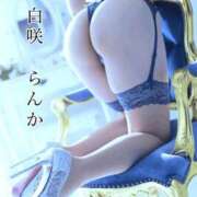 ヒメ日記 2025/03/31 13:47 投稿 白咲らんか ウルトラグレイス24