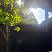 ヒメ日記 2025/08/26 11:20 投稿 白咲らんか ウルトラグレイス24