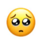 ヒメ日記 2025/11/14 10:44 投稿 白咲らんか ウルトラグレイス24