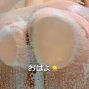 ヒメ日記 2025/11/15 11:38 投稿 白咲らんか ウルトラグレイス24