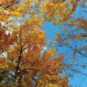 ヒメ日記 2025/11/16 13:40 投稿 白咲らんか ウルトラグレイス24