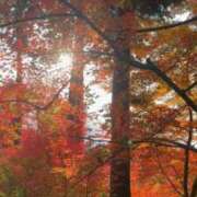 ヒメ日記 2025/11/27 12:00 投稿 白咲らんか ウルトラグレイス24