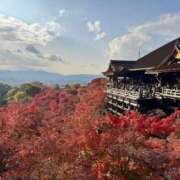 ヒメ日記 2025/11/29 14:00 投稿 白咲らんか ウルトラグレイス24