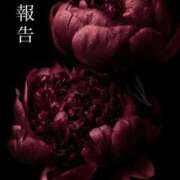 ヒメ日記 2025/12/02 22:22 投稿 白咲らんか ウルトラグレイス24