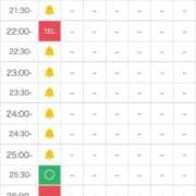 ヒメ日記 2026/01/13 16:50 投稿 白咲らんか ウルトラグレイス24