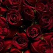 ヒメ日記 2026/01/19 11:20 投稿 白咲らんか ウルトラグレイス24