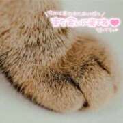 ヒメ日記 2025/10/12 20:54 投稿 柚子 東京人妻フォーシーズンズ