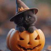 ヒメ日記 2025/10/31 17:34 投稿 柚子 東京人妻フォーシーズンズ