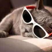 ヒメ日記 2025/11/04 18:04 投稿 柚子 東京人妻フォーシーズンズ